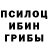 Галлюциногенные грибы Psilocybine cubensis Erika Lanzberg