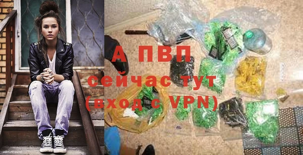 сатива Гусиноозёрск