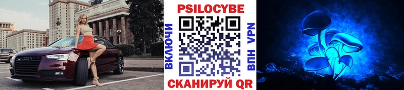 купить  цена  Кораблино  Галлюциногенные грибы мицелий 